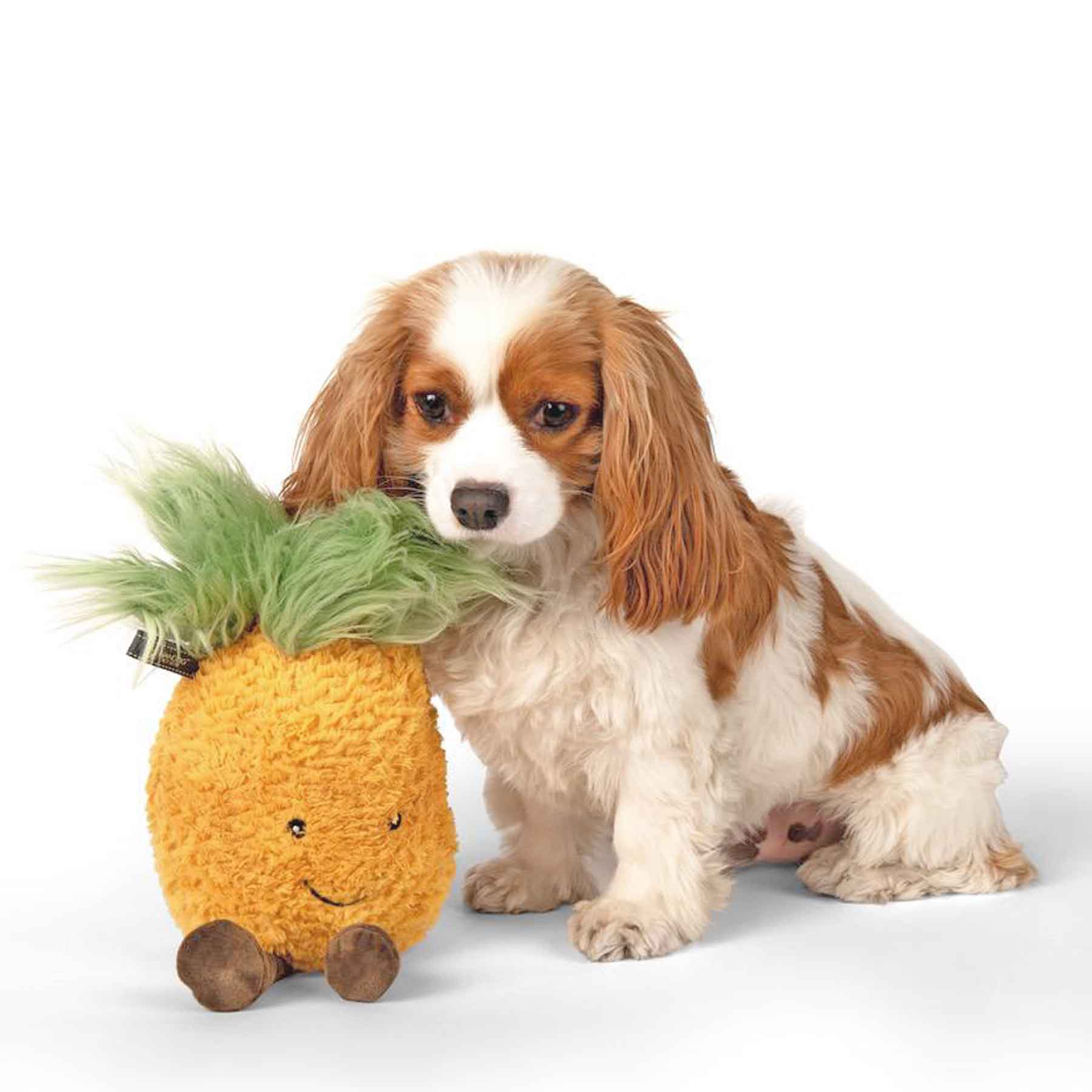 Nandog My BFF Pineapple Squeaker Plush Dog Toy