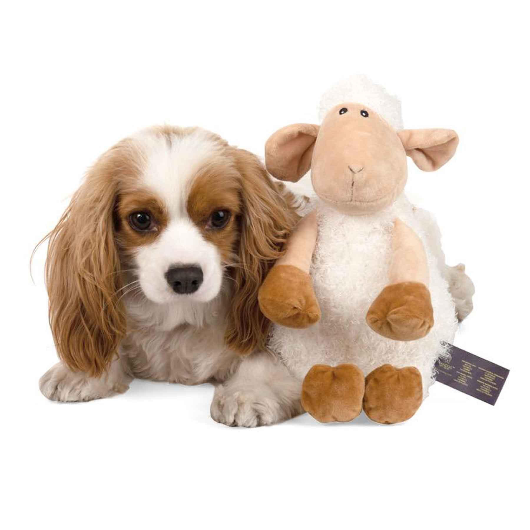 Nandog My BFF Sheep Squeaker Plush Dog Toy
