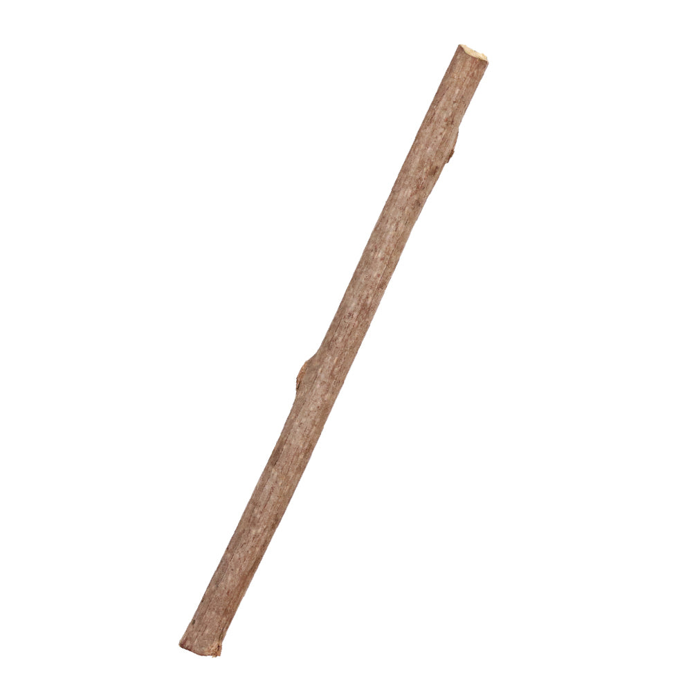 CattyMan Natural Silvervine Branch Sticks Chews With Cat Toy 6ct (Exp Jan 2026)